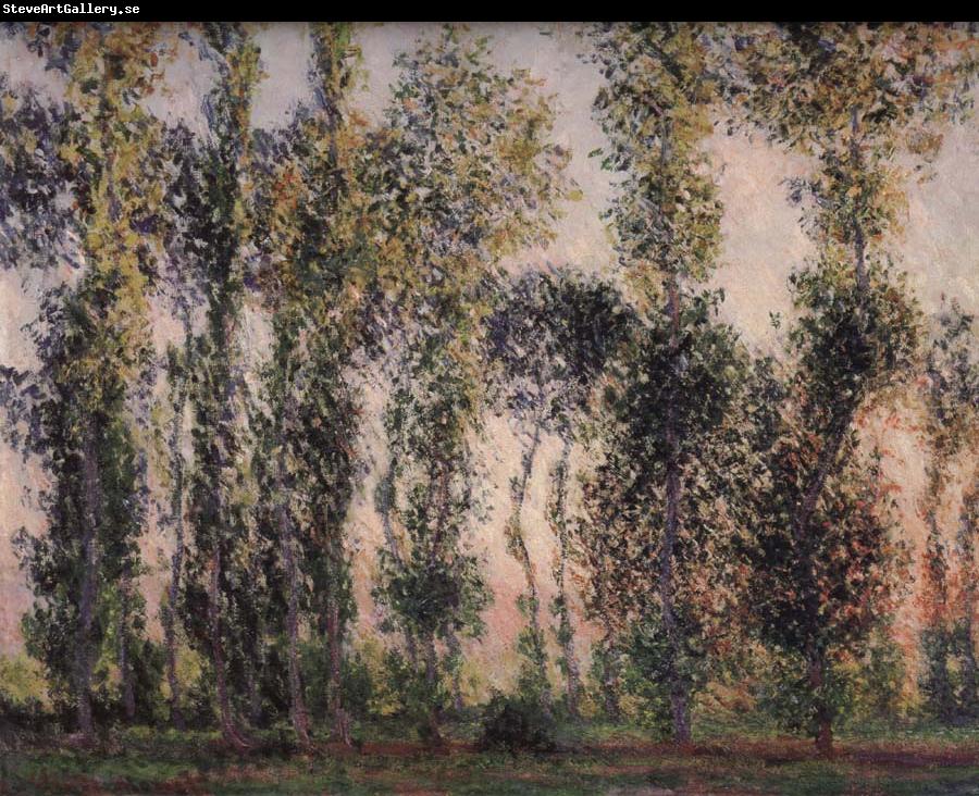 Claude Monet Poplars at Giverny